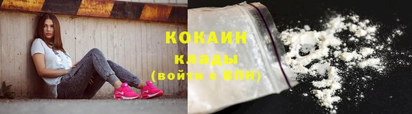 молекула духа Новозыбков