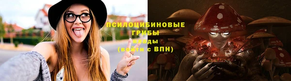 МДПВ Алзамай