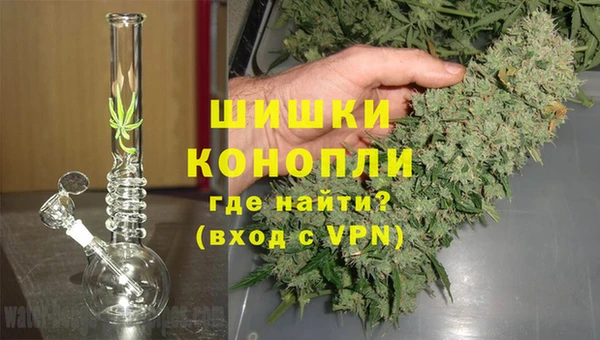 шишки Алексеевка