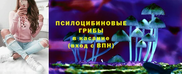 МДПВ Алзамай