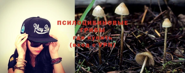 таблы Алексин