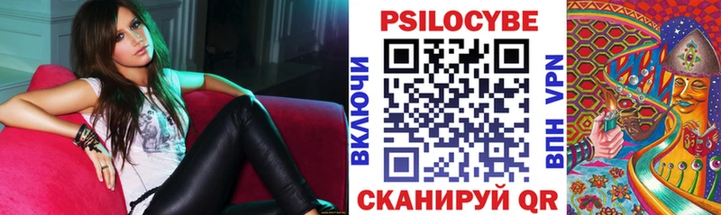 как найти закладки  Липки  Псилоцибиновые грибы Cubensis 